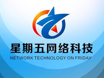 引領未來，共創數字新紀元——XX網絡科技開發公司簡介